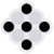 pardisnegin